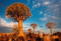 NAMIBIA - 9000 km AFRYKAŃSKIEJ PRZYGODY