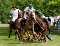 Turniej polo -  BMW CUP OF NATIONS